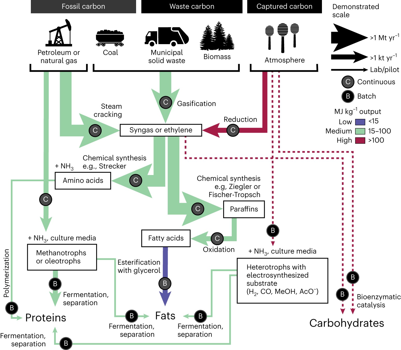 Compoundarxiv's tweet card. Nature Sustainability - The agricultural production of food comes with substantial greenhouse gas emissions and impacts on the environment. Dietary fats, a staple of human diet, might be produced...