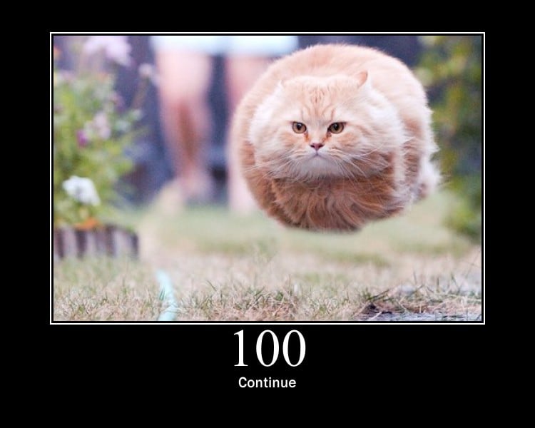 42norminet's tweet card. API for HTTP Cats
