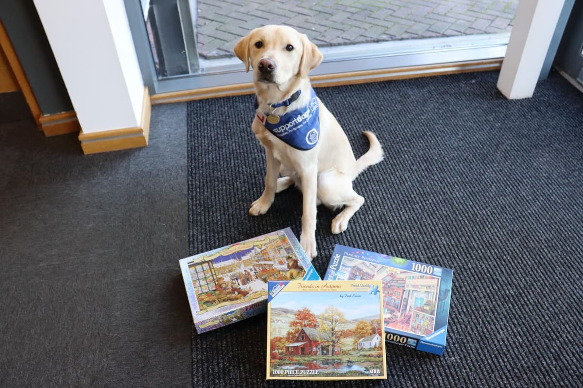 supportdogsuk's tweet card. A charity has enjoyed a bumper year for income from a surprise source – the sale of jigsaws!