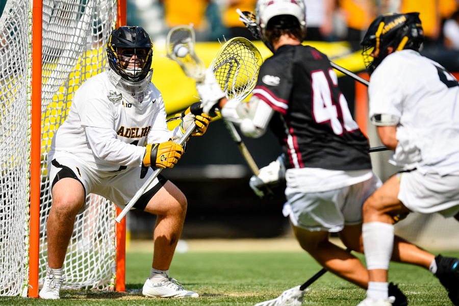 Inside_Lacrosse's tweet card. For the second-straight year, Adelphi goalie Dylan Renner is DII's Player of the Year.He leads a sizeable group of Panthers in this year's