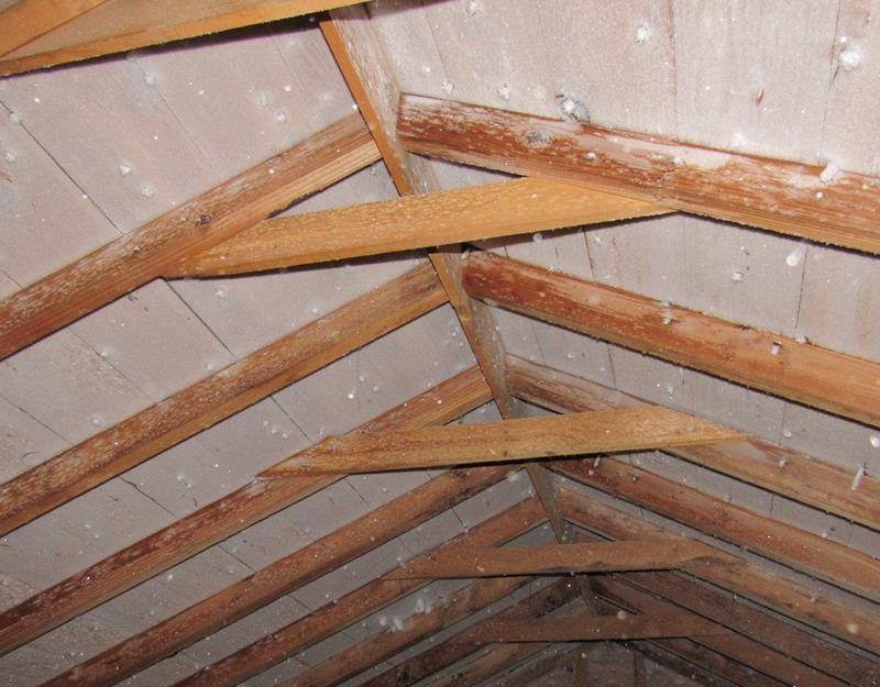 StructureTech's tweet card. If you have a problem with frost in your attic, you're not alone. The last few weeks of very cold weather has led to a lot of frost-covered attics.