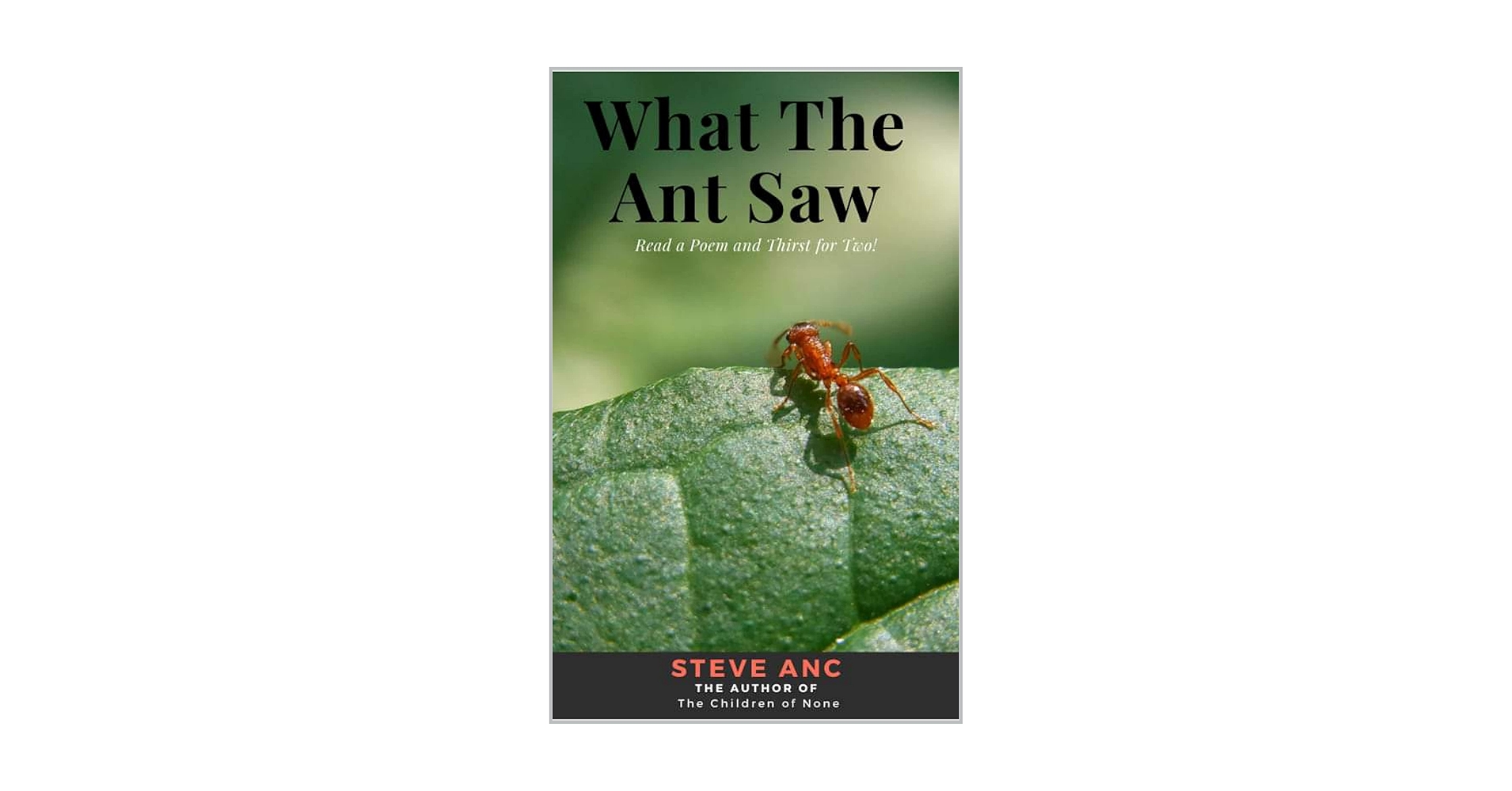 steveanc1's tweet card. What The Ant Saw is a beautifully crafted portrait of poetic art of life in its rawest form.A stirring debut collection of poems of life lessons and complexity of humanity, with the lessons from...
