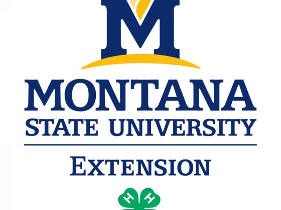 MSU_Extension's tweet card. The Montana 4-H Foundation and donors awarded scholarships to 42 recipients.