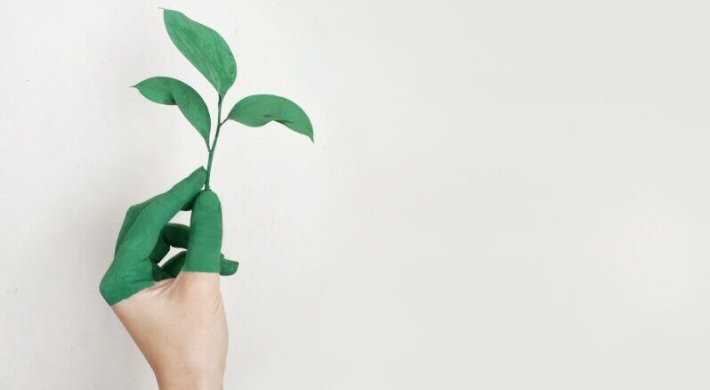 OpenEdEdinburgh's tweet card. The Sustainability Champions Gathering 2021, hosted by the Department for Social Responsibility and Sustainability.  The video of the event covers what Sustainability Champions are, training and...