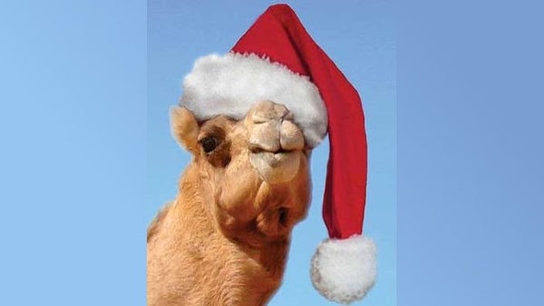 austinperlmngrs's tweet card. 'Tis Yet Another Season... for Perl! Family Friendly Holiday Event, Held on (the day after) Perl's 36th Birthday! Pizza / Salad / Dessert Buffet $12 Per Person (No purchase