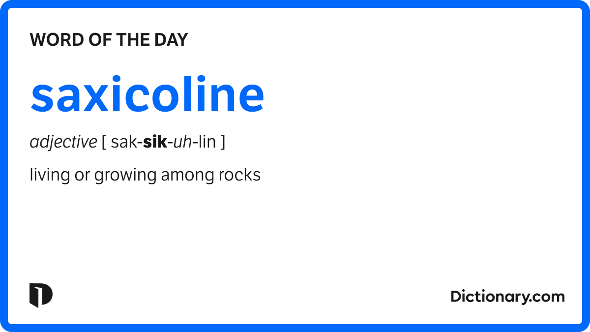 sympmarc's tweet card. The Word of the Day for October 5, 2025 is saxicoline. Find out the meaning of saxicoline and learn about its origin and uses!