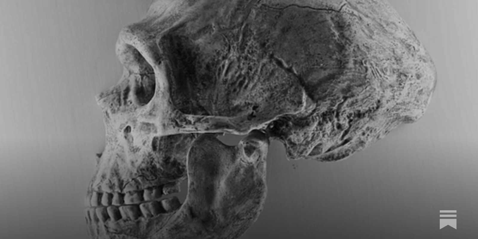 johnhawks's tweet card. In a new research article, I review the ways that paleoanthropologists name ancient groups outside the Linnaean system.