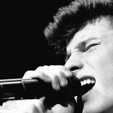 ShawnMendesSP's tweet card. Shawn Mendes Spain (@shawnmendesspain) • Instagram photo