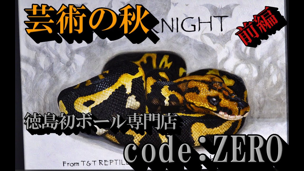 TT_REPTILES's tweet card. 【前編】徳島県初ボールパイソン専門店code:ZEROさんに直撃!!!【ボールパイソンBallpython】