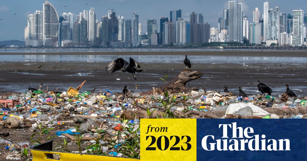 teamtreexyz's tweet card. ‘Cleanup is futile’ if production continues at current rate, amid rapid rise in marine pollution