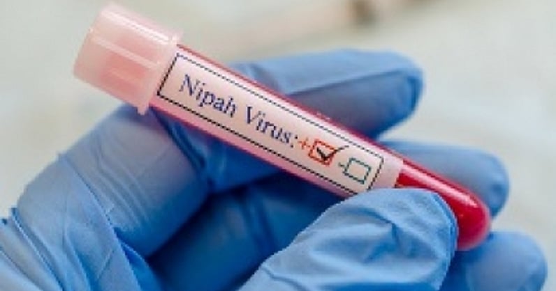 NewIndianXpress's tweet card. THIRUVANTHAPURAM: With recurrent Nipah outbreaks leaving more questions than answers, the state has launched a critical sero-surveillance initiative aimed at un