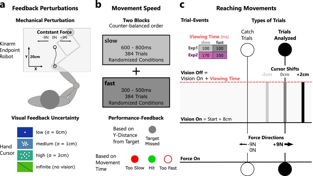 fredericcrevec1's tweet card. When making perceptual decisions, humans combine information across sensory modalities dependent on their respective uncertainties. However, it remains unknown how the brain integrates multisensory...