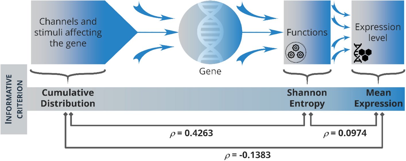 Biotexcel's tweet card. Scientific Reports - The role of gene to gene interaction in the breast’s genomic signature of pregnancy
