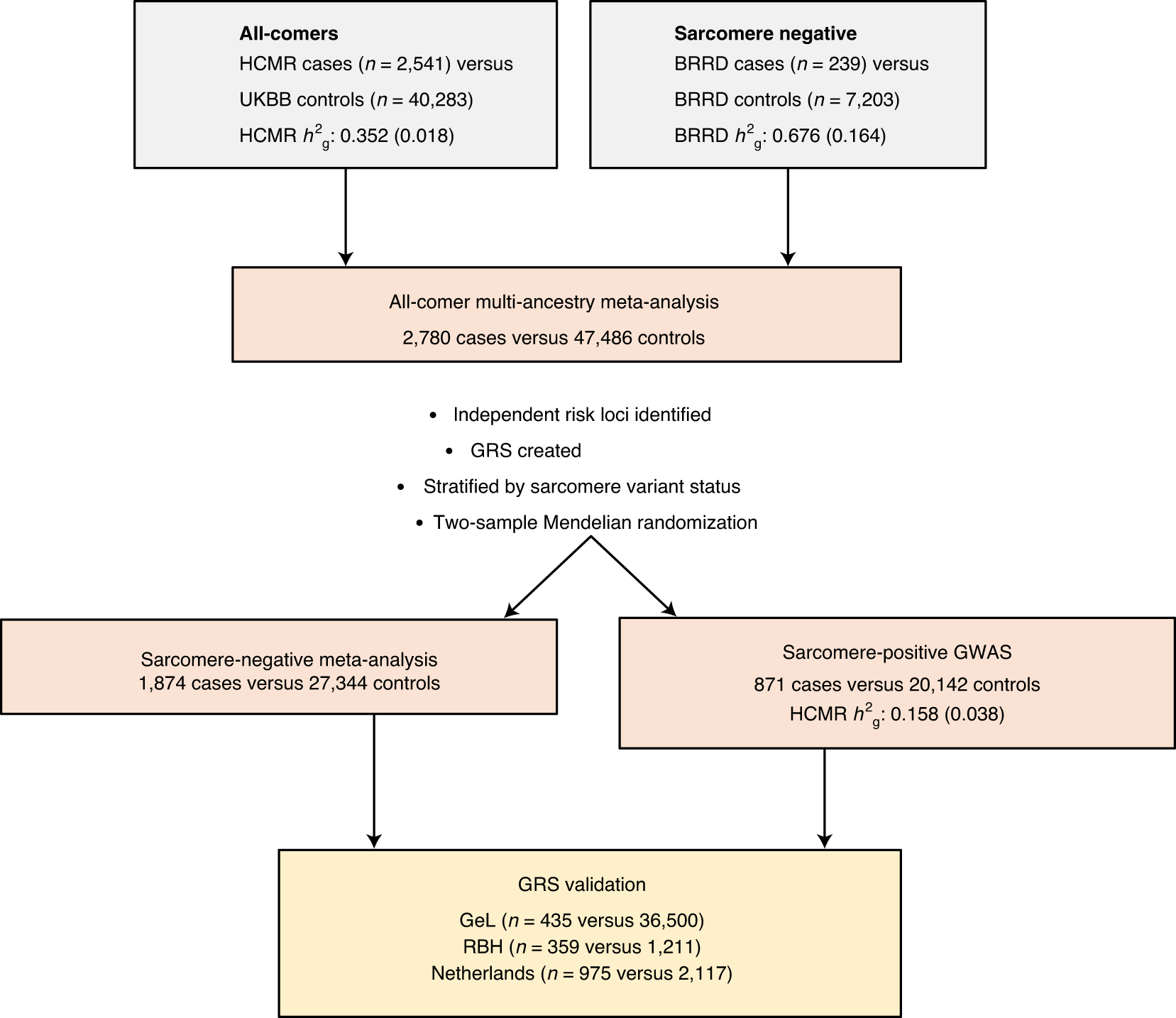 Biotexcel's tweet card. Nature Genetics - Genome-wide association analyses identify 12 susceptibility loci for hypertrophic cardiomyopathy (HCM). A genetic risk score for HCM was associated with disease status in a...