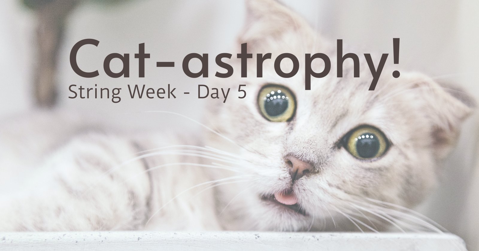 huntoberTweets's tweet card. Huntober String week Challenge 5 - use assorted String methods to discover the sequence number needed for this week's overall decoding challenge.