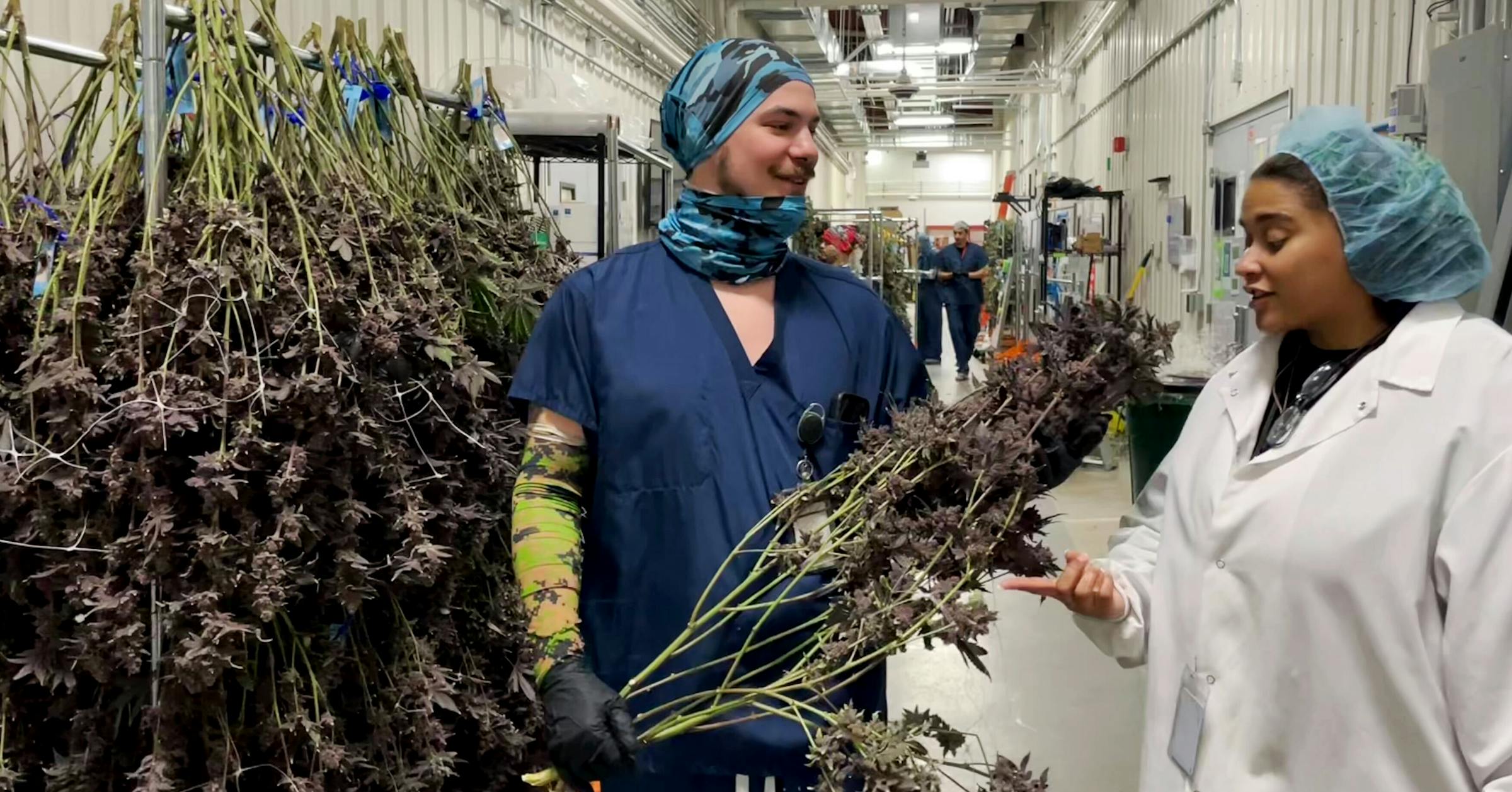 NativeUnity's tweet card. The tribe is close to a compact agreement with the Minnesota Office of Cannabis Management that would govern the expansion of its Waabigwan Mashkiki stores. It also plans top open a dispensary in St....