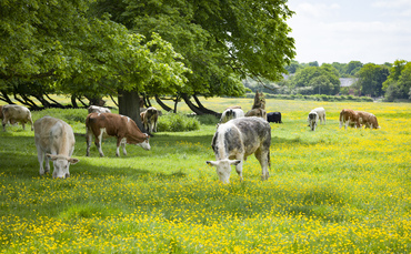 AlexiaCRobinson's tweet card. What is regenerative farming? Do consumers understand what this means? The bigger question is, are people willing to pay more for food produced in this way? A brand-new Farmers Guardian survey...