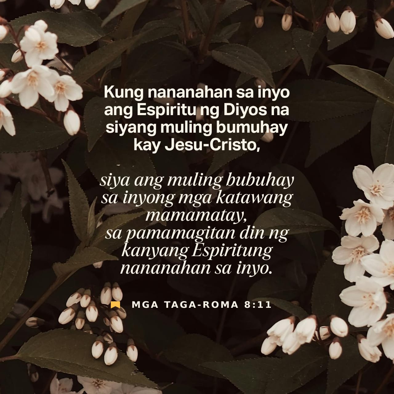 camzphoenix_13's tweet card. At kung nananahan sa inyo ang Espiritu ng Diyos na muling bumuhay kay Hesu-Kristo, siya rin ang magbibigay ng buhay sa inyong mga katawang namamatay. Gagawin niya ito sa pamamagitan ng kanyang Espirit