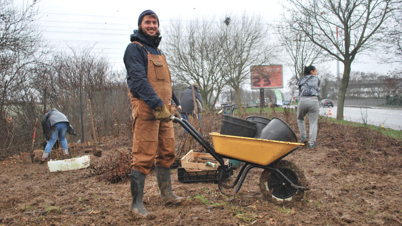 teamtreexyz's tweet card. French volunteers are using a pioneering Japanese tree-planting method to create pocket forests in Paris in the hope they will slow climate change, create biodiversity hotspots and tackle the growing…