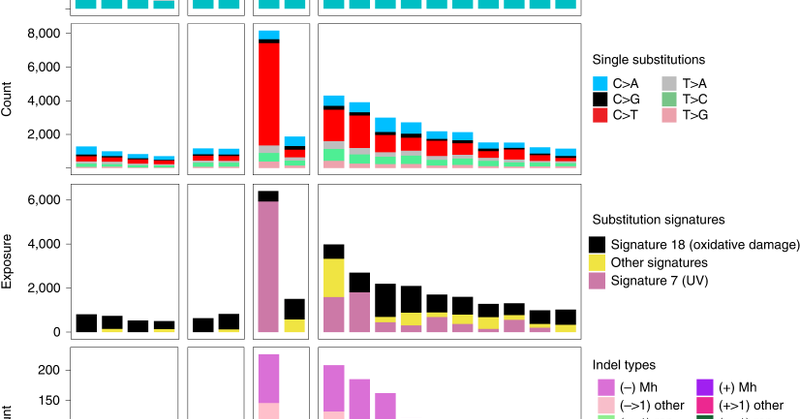 Tweet card summary image