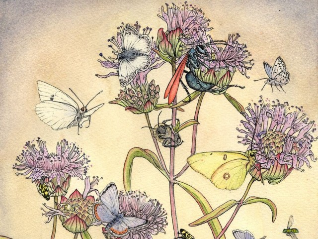 WomenWhoSubmit's tweet card. The WWS members included in this post published their work in amazing places during July of 2024. I’ve included an excerpt from published pieces (if available), along with a link (if available) to …