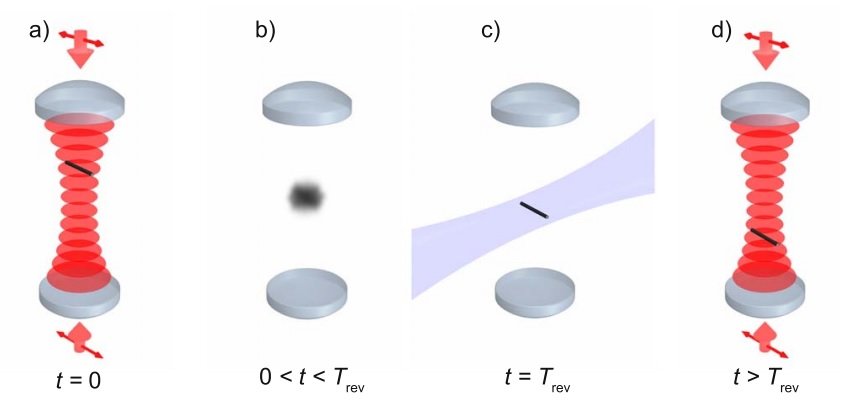 quantum_comput's tweet card. Physicists have proposed an entirely new way to test the quantum superposition principle—the idea that a quantum object can exist in multiple states at the same time. The new test is based on...