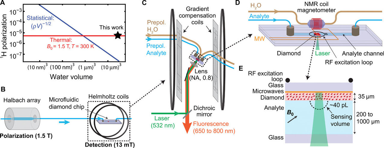 quantum_comput's tweet card. Quantum sensors based on nitrogen-vacancy (NV) centers in diamond are a promising detection mode for nuclear magnetic resonance spectroscopy due to their micron-scale detection volume and noninduct...