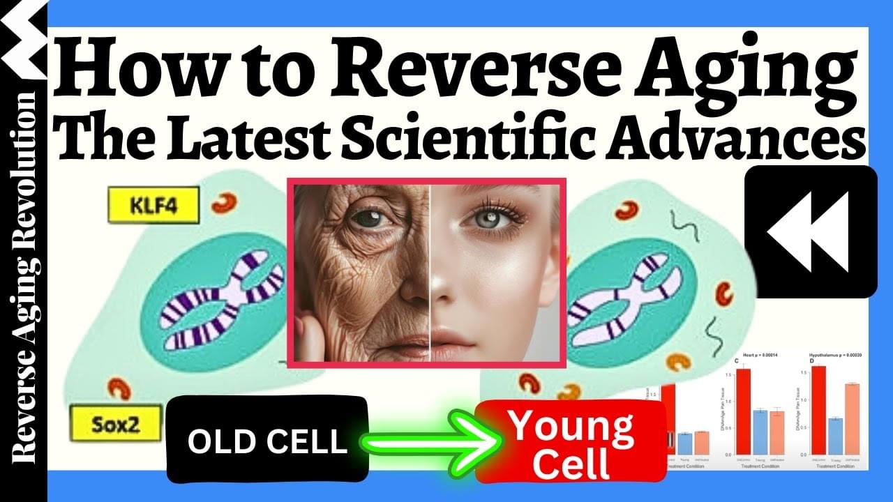 LifeboatHQ's tweet card. Bill Faloon discusses advancements in age reversal therapies and their transition from research to clinical application, emphasizing the potential for delaying and reversing biological aging. He...