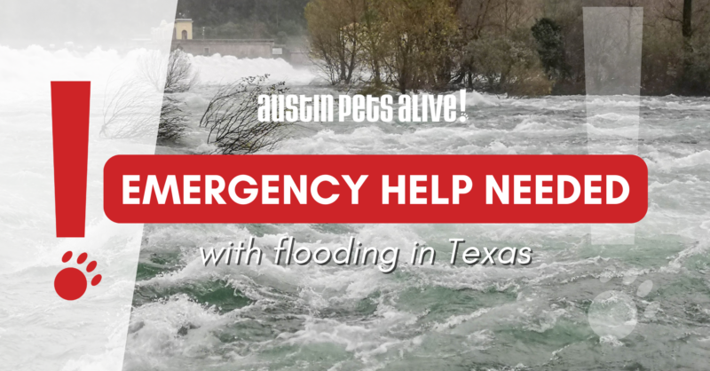 PetsAddLife's tweet card. The Guadalupe River is overflooded and has caused loss of life and devastation in Kerr County.