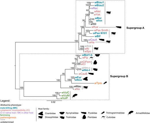 pythseq's tweet card. Abstract. Symbiont-mediated male killing (MK) is a mechanism that selectively eliminates male offspring, often by disrupting sex-specific developmental pro