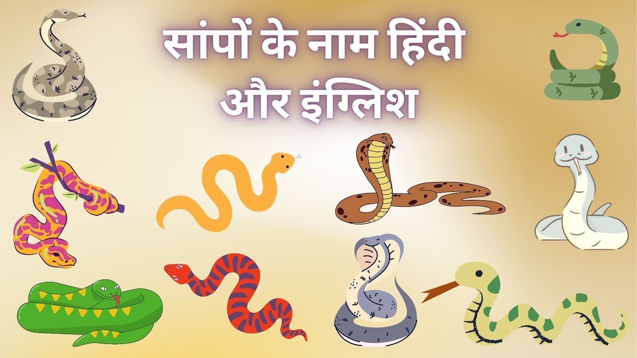 children_campus's tweet card. Snakes Names in Hindi And English, Snakes in Hindi , Snakes Names in...