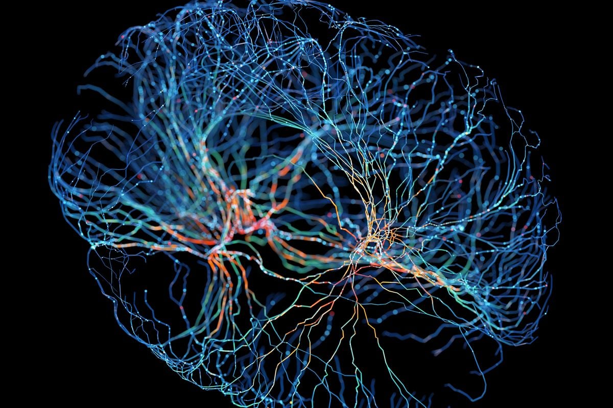 edwardsdna's tweet card. A brain-computer interface has gotten better than ever before at translating thoughts from people with speech difficulties. Researchers are also thinking through how to protect users’ privacy