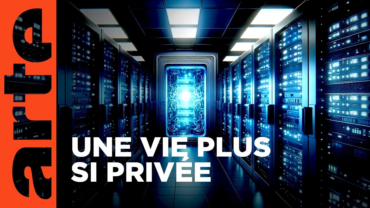 Snooba's tweet card. L’intelligence artificielle, un tsunami sur le web | Documentaire |...