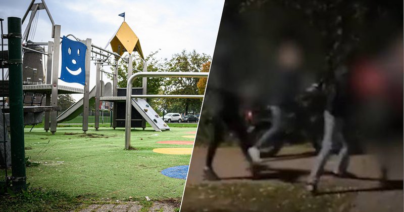 Jonge verdachte mishandeling oudere vrouw in Raamsdonksveer