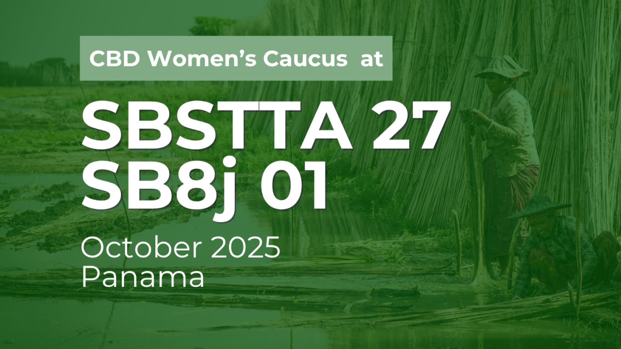 cbd_wc's tweet card. As the global biodiversity community meets in Panama for SBSTTA-27 and SB8j-01, the CBD Women’s Caucus is bringing the voice and expertise of over 800 women’s organisations, Indigenous and local...