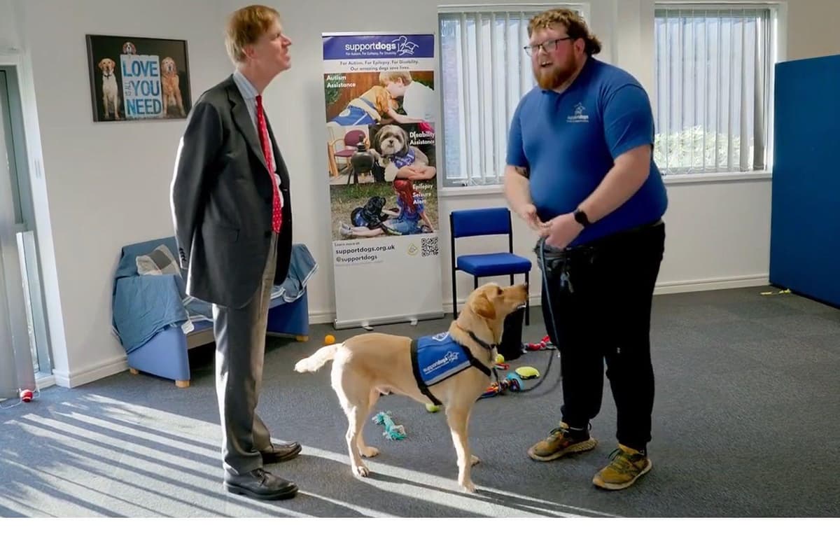 supportdogsuk's tweet card. A senior employment minister heard first-hand the endless ‘paws-ibilities’ assistance dogs can give to help people remain in work.