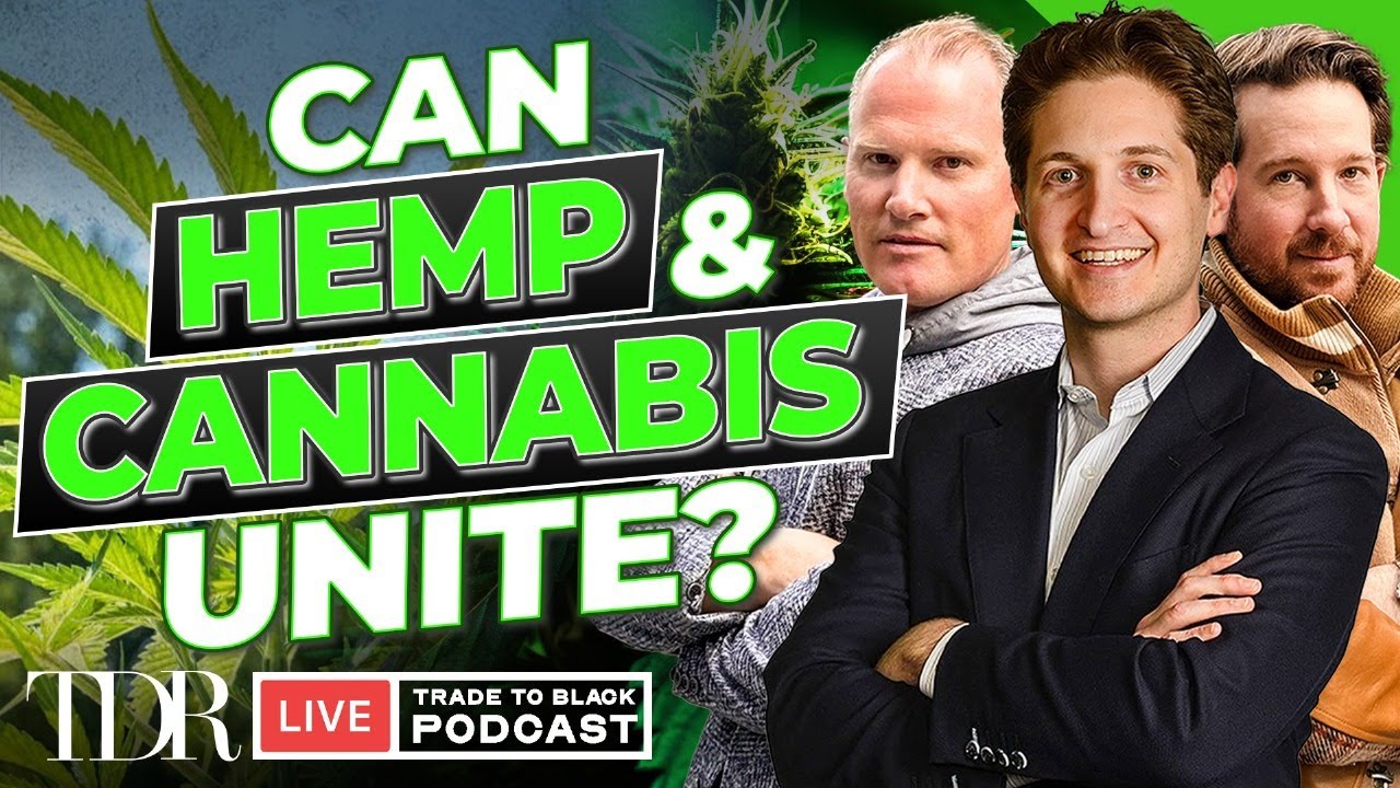 TheDalesReport's tweet card. Unifying Cannabis & Hemp on THC