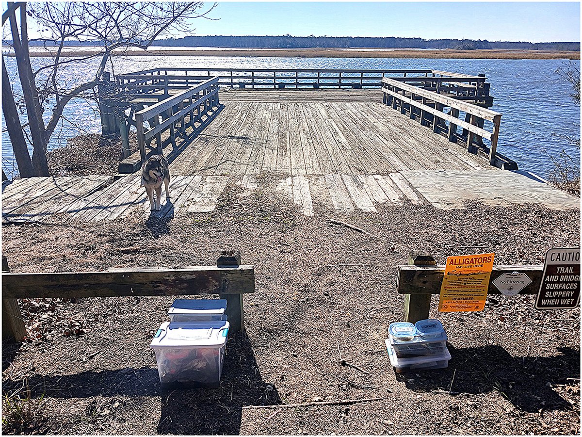 Nautarch_japan's tweet card. By enhancing methods for how archaeology can contribute to the study of multi-species shipwrecks (or shipwreck ecology), this paper reconsiders the function ...