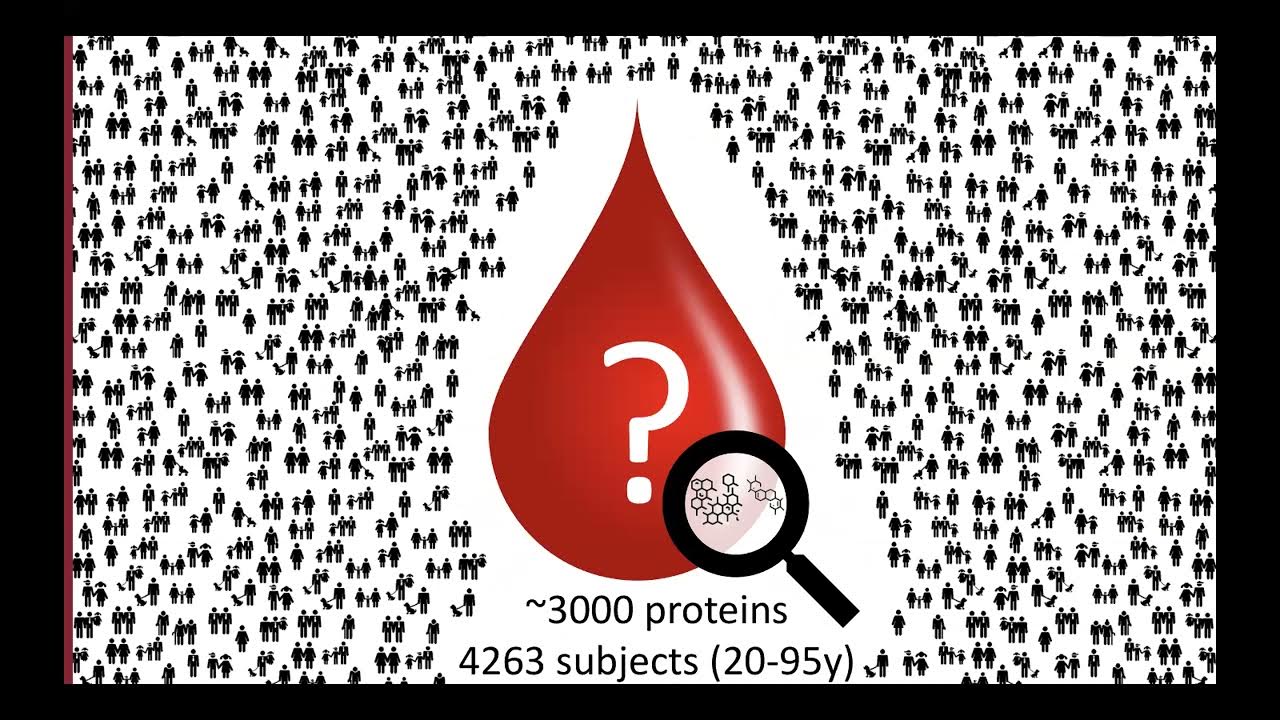 sambasci's tweet card. Aging and the proteome, or How to die young at a very old age