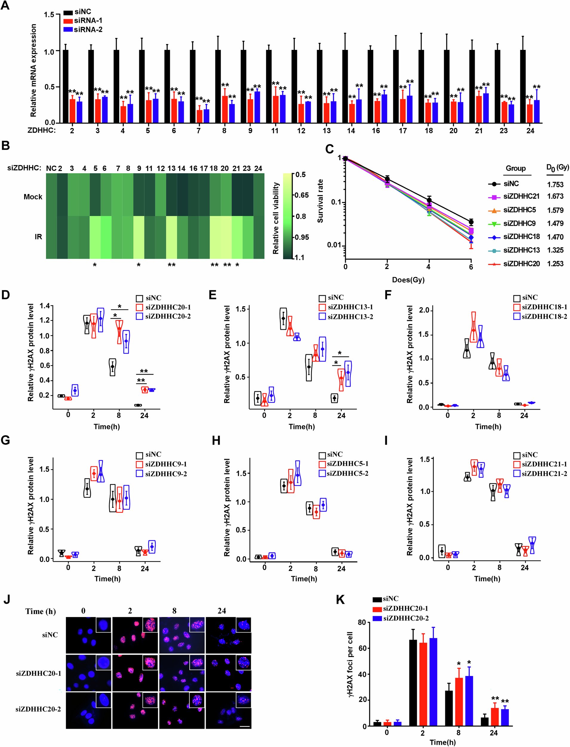 oncogenejournal's tweet card. Oncogene - ZDHHC20-mediated S-palmitoylation of KAP1/TRIM28 promotes DNA damage repair