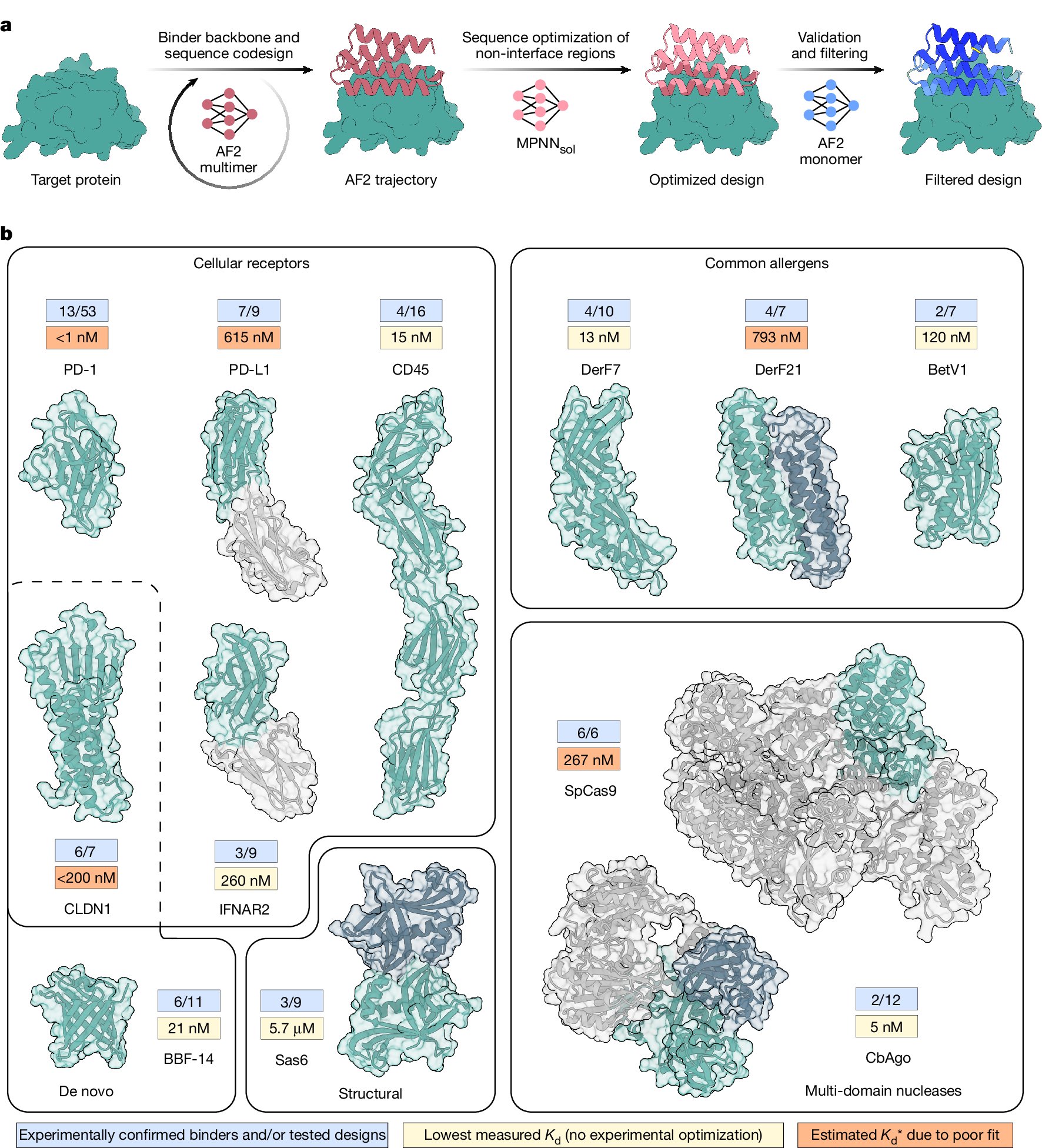 Nature's tweet card. Nature - BindCraft, an open-source, automated pipeline for de novo protein binder design with experimental success rates of 10–100%, leverages AlphaFold2 weights to generate binders with...