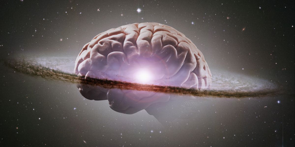 dinisguarda's tweet card. The radical new theory could help explain the mysteries of the mind, soul, and even the afterlife.When I began my master’s program in cognitive science, an electrical engineering professor told...