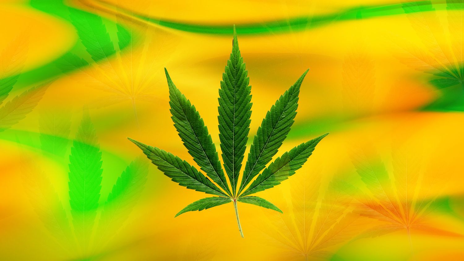 omnimedicalfl's tweet card. Cannabinol or CBN is a type of cannabinoid (like CBD and THC) that's gaining attention in the wellness world. But why? Here, a guide to CBN, including CBN benefits, CBN effects, and a breakdown of...