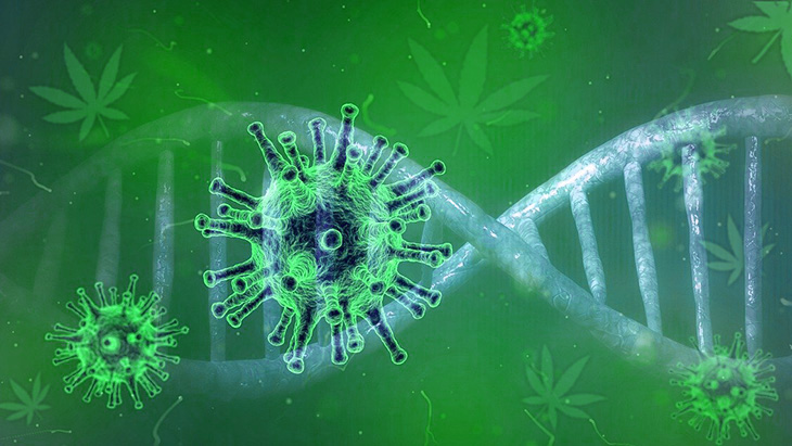 omnimedicalfl's tweet card. NORML’s Deputy Director cautioned that the study's well publicized findings should not yet be extrapolated to the cannabis consuming population at large.
