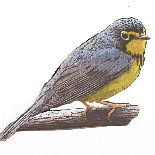 fuzzylogicunit's tweet card. Warbler