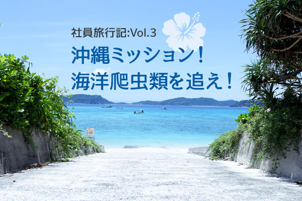 k1_development's tweet card. こんにちは、おしょーです。 ちょっと前に「よこしま」「あゆみん」によるハワイ社員旅行記がアップされていましたね。今年のケ