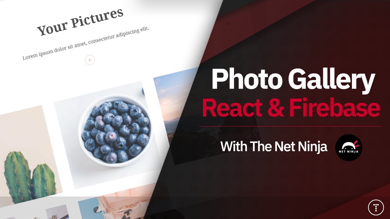 traversymedia's tweet card. Build a Photo Gallery With React & Firebase