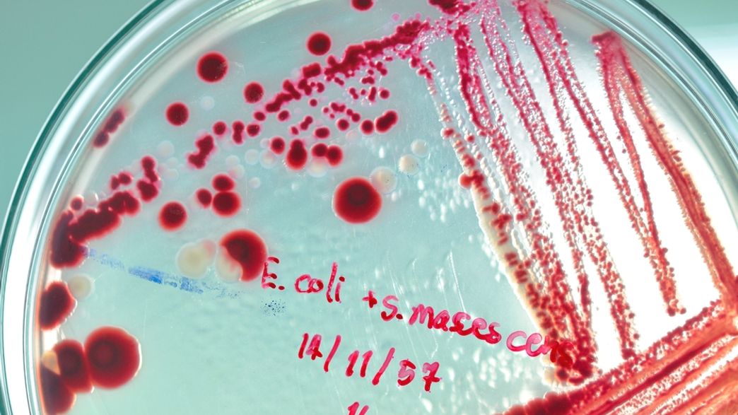 ModProblemSolv's tweet card. Artificial Intelligence Finds A Powerful New Antibiotic For The First Time