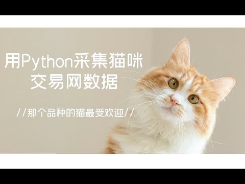 YAN54752715's tweet card. 要买猫咪的看过来，我用python采集了某猫咪交易网数据，用数据做了分析发现，竟然是它？最受欢迎！