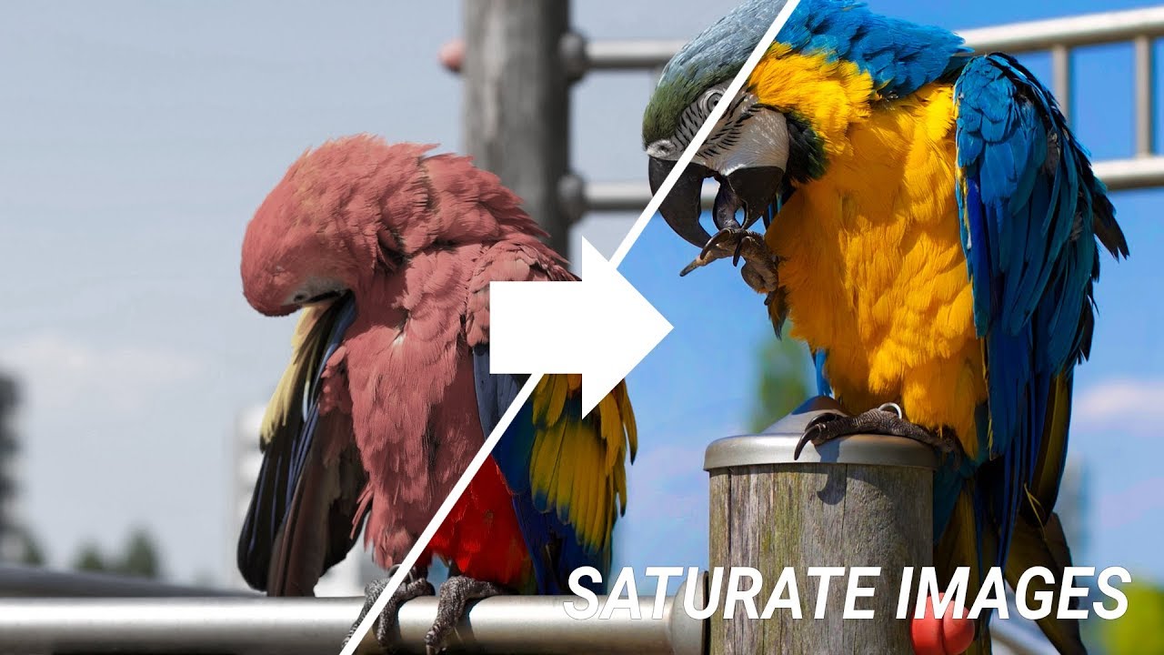 usemmtuts's tweet card. Improve Colors Using Photoshop | Better Way To Saturate Images In...